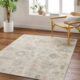 Olympic Beige / Multi Rug