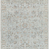 Olympic Multi / Mist Rug