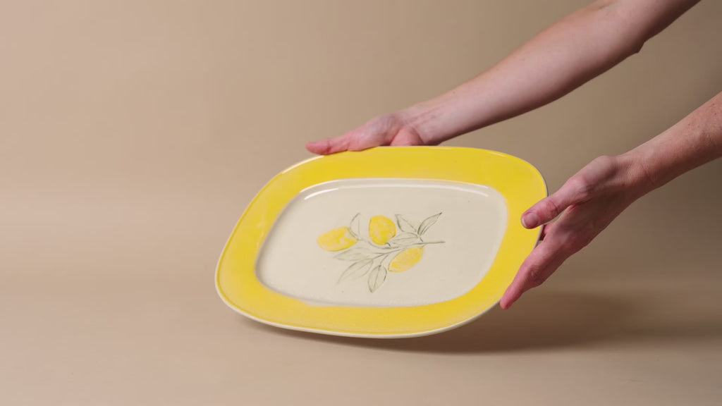 Stoneware Lemons Plate dish Creative Co-op (DYA)