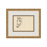 "Equine Sketch" Framed Art Print