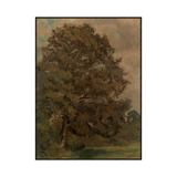 "Ash Field" Framed Art Print ARTWORK - framed art Wendover Art Group