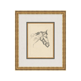 "Equine Sketch" Framed Art Print