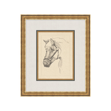 "Equine Sketch" Framed Art Print