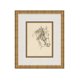 "Equine Sketch" Framed Art Print