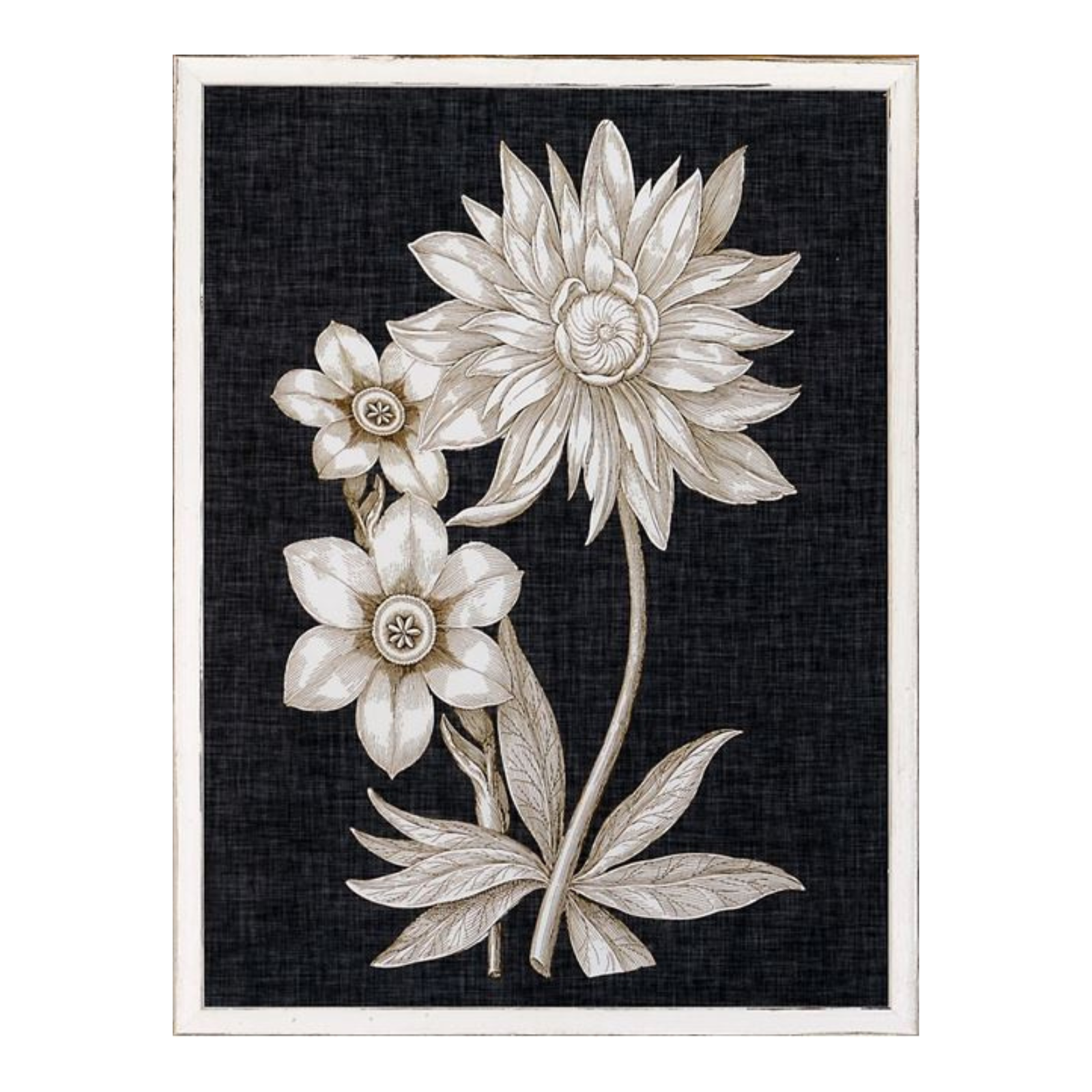 "Fine Botanicals I" Framed Art Print ARTWORK - framed print Celadon Art