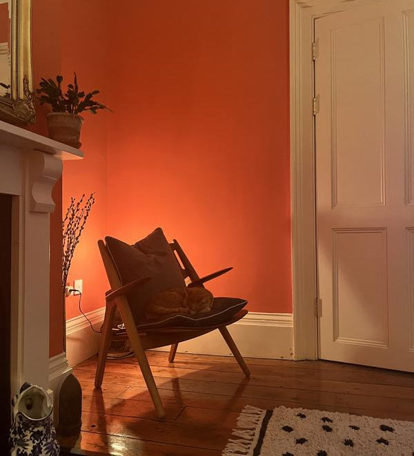 Farrow & Ball Bisque No. 9811 - Archive Collection PAINT - Farrow & Ball Farrow & Ball