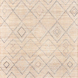 Argan Oshipi Natural patterned rugs Momeni