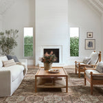 Amber Lewis x Loloi Billie Clay / Sage Rug 0-patterned rugs Loloi