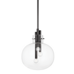 Hempstead Pendant LIGHTING - pendant Hudson Valley Lighting 13.75"W x 16.75"H Black Brass
