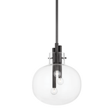 Hempstead Pendant LIGHTING - pendant Hudson Valley Lighting 13.75"W x 16.75"H Black Brass