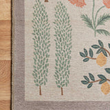 Rifle Paper Co. X Loloi/ Menagerie Les Fauves Cream Rug 3 - RUGS - patterned Loloi