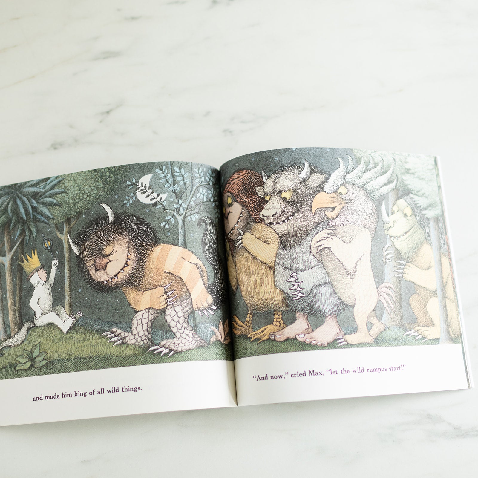 "Where The Wild Things Are" by Maurice Sendak FINNBIRD - book Raincoast Books