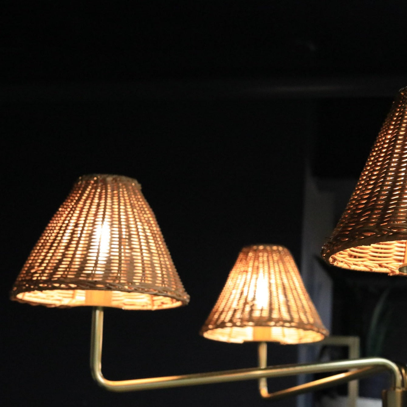 Issa Chandelier LIGHTING - chandelier Hudson Valley Lighting