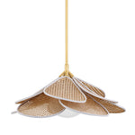 Florina Pendant LIGHTING - pendant Hudson Valley Lighting Medium