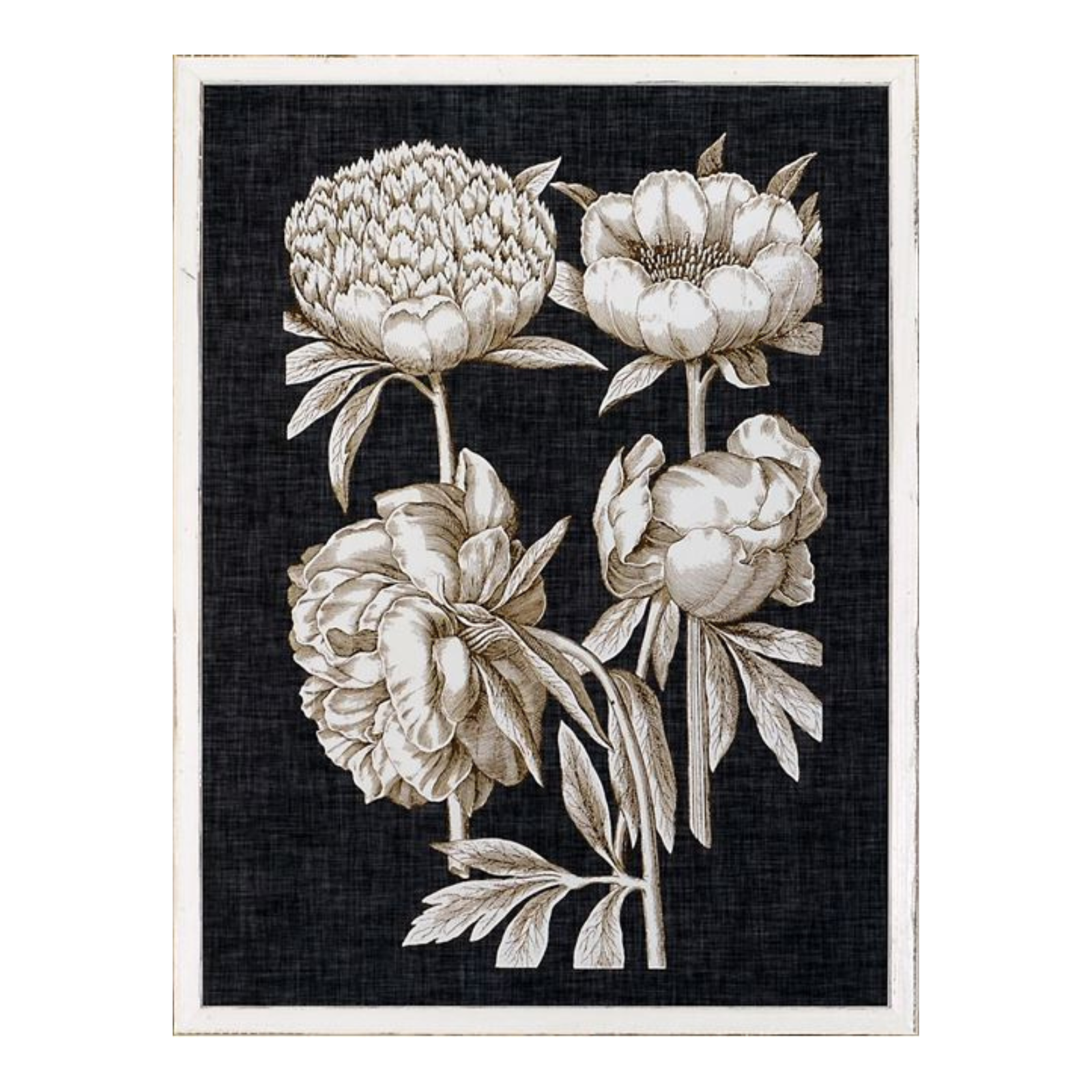 "Fine Botanicals II" Framed Art Print ARTWORK - framed print Celadon Art