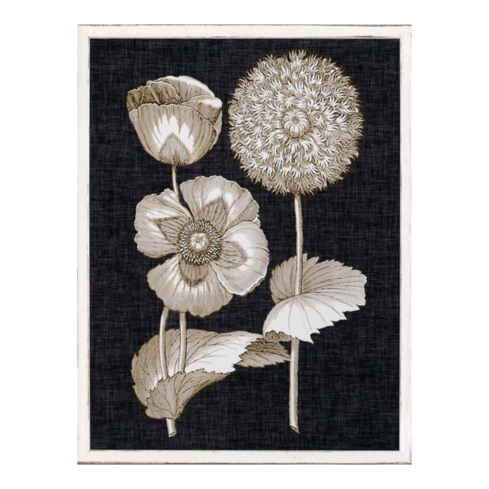 "Fine Botanicals III" Framed Art Print