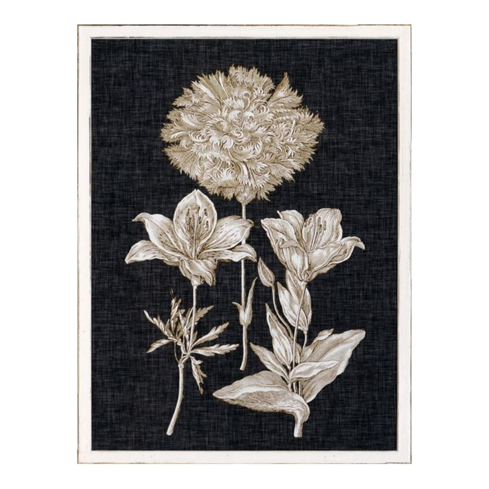 "Fine Botanicals IV" Framed Art Print - Rug & Weave