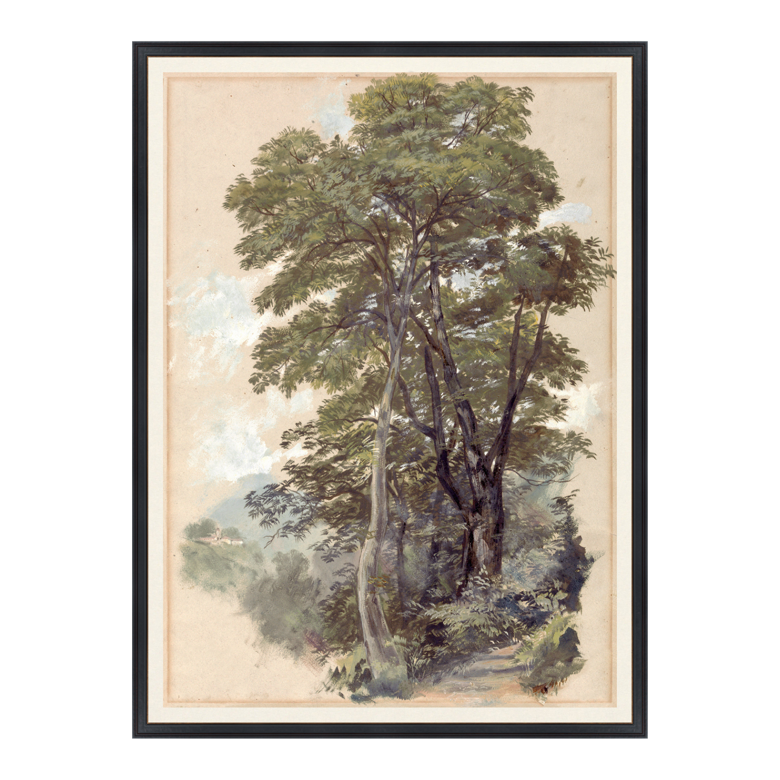 "Tree Lined Path" Framed Art Print