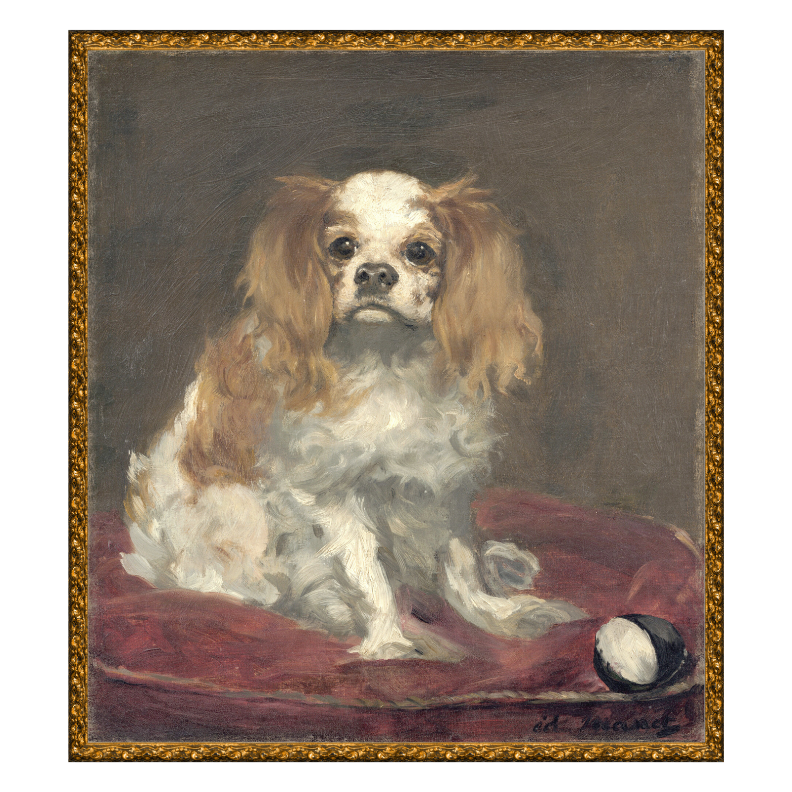 Dog Portrait Framed Art Print - Rug & Weave