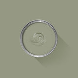 Farrow & Ball Lichen No. 19