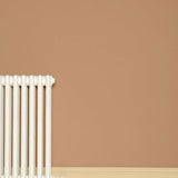 Farrow & Ball Ointment Pink No. 21 - Archive Collection PAINT - Farrow & Ball Farrow & Ball
