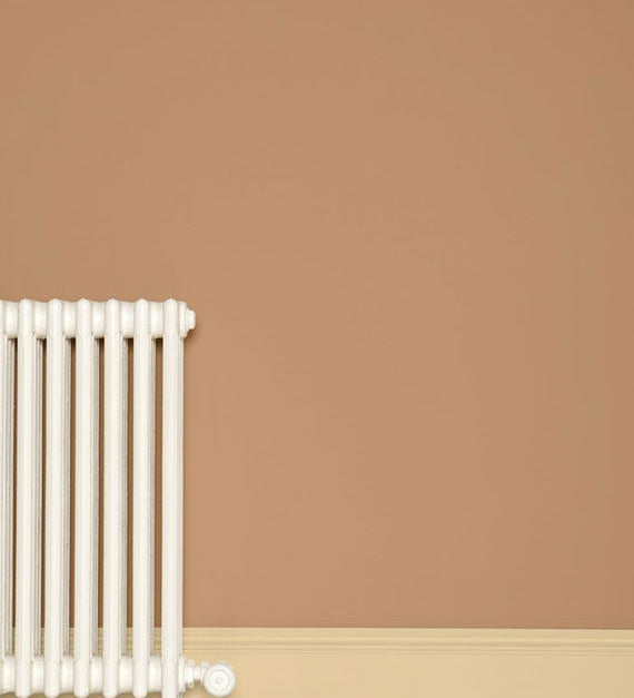 Farrow & Ball Ointment Pink No. 21 - Archive Collection PAINT - Farrow & Ball Farrow & Ball