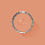 Farrow & Ball Ointment Pink No. 21 - Archive Collection PAINT - Farrow & Ball Farrow & Ball